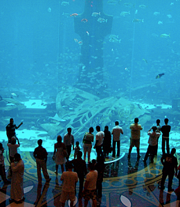 Huge fish tank with people standing infront of it