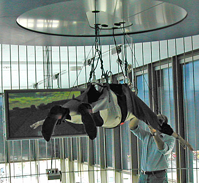 person trussed up in elaborate device and hanging from the ceiling in front of a computer monitor