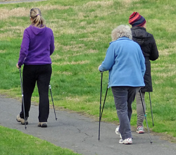 Three female walkers with hiking poles, walking away from the camera